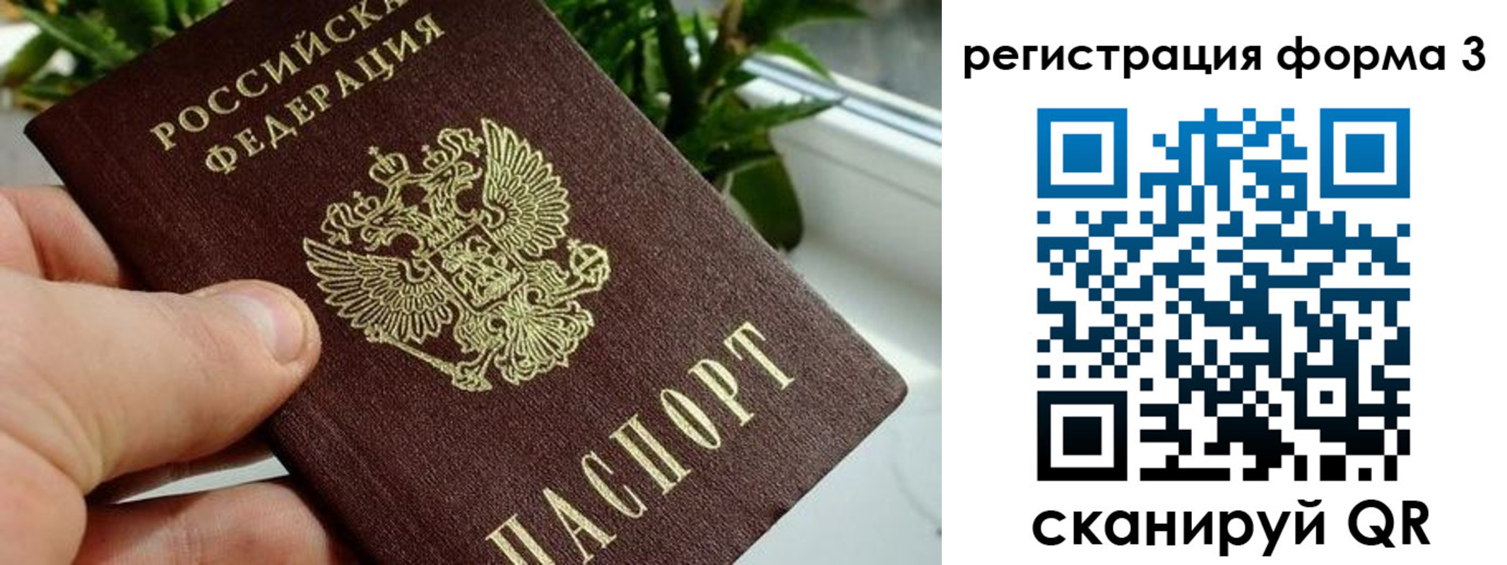 прописка штамп в Первомайске